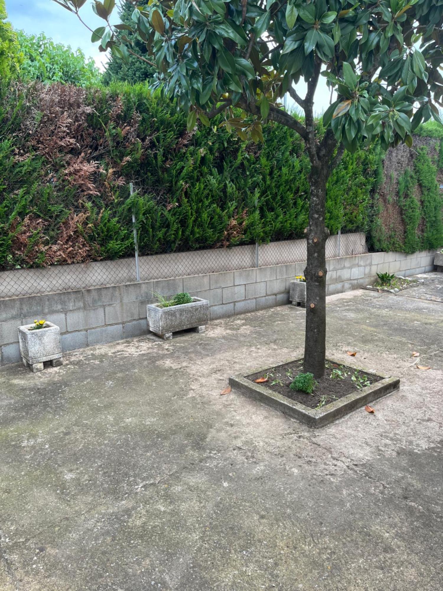 Cals Avis De Sau Villa เลสปลาเนส โดสโตเลส ภายนอก รูปภาพ